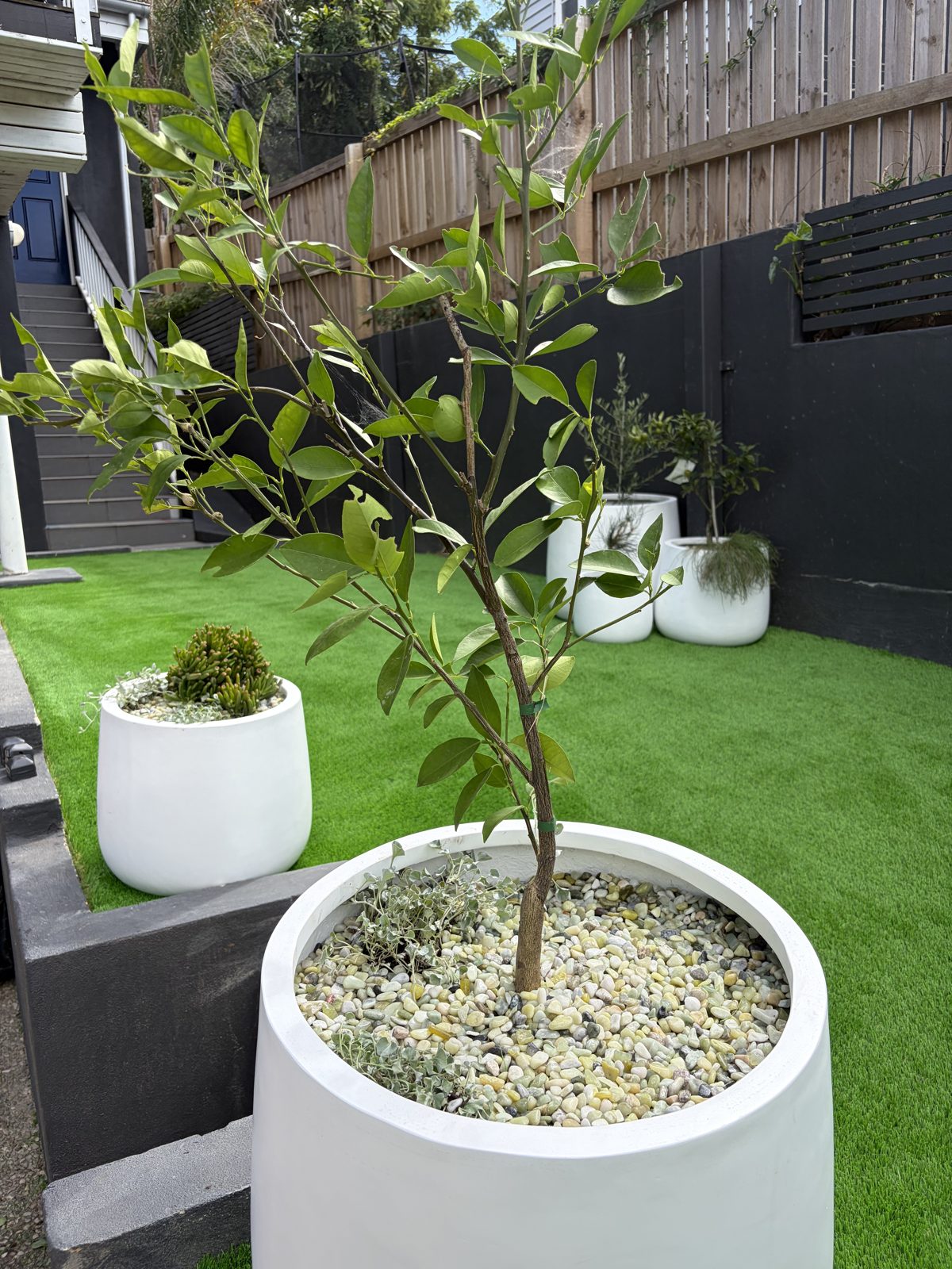 Modern Backyard & Artificial Turf